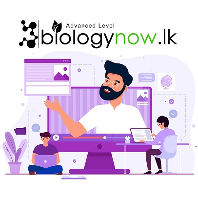 online-study